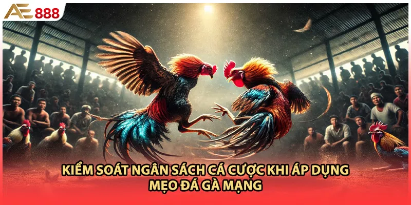 Kiểm soát ngân sách cá cược khi áp dụng mẹo đá gà mạng