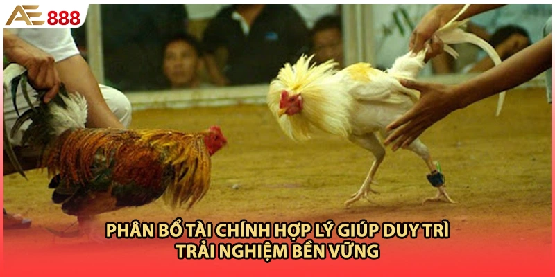 Phân bổ tài chính hợp lý giúp duy trì trải nghiệm bền vững
